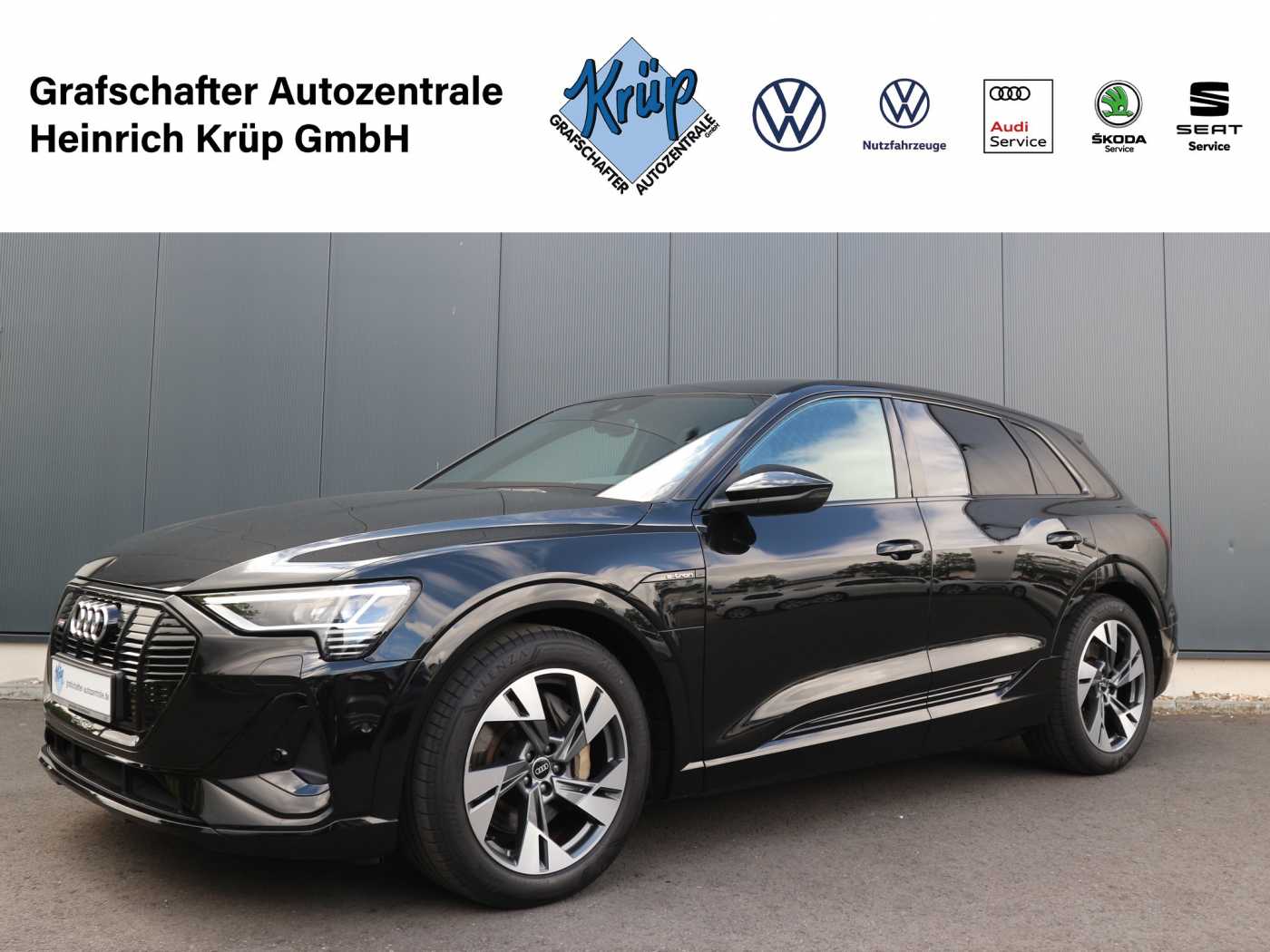 Audi E-Tron 55 quattro 2x S line+Leder+Stadt+Tour
