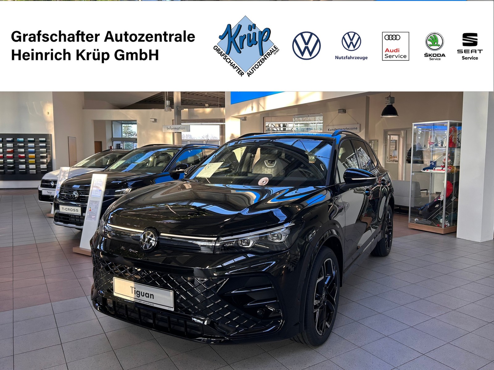 VW - Tiguan 2,0 TDI R-Line AHK NAVI LED_1